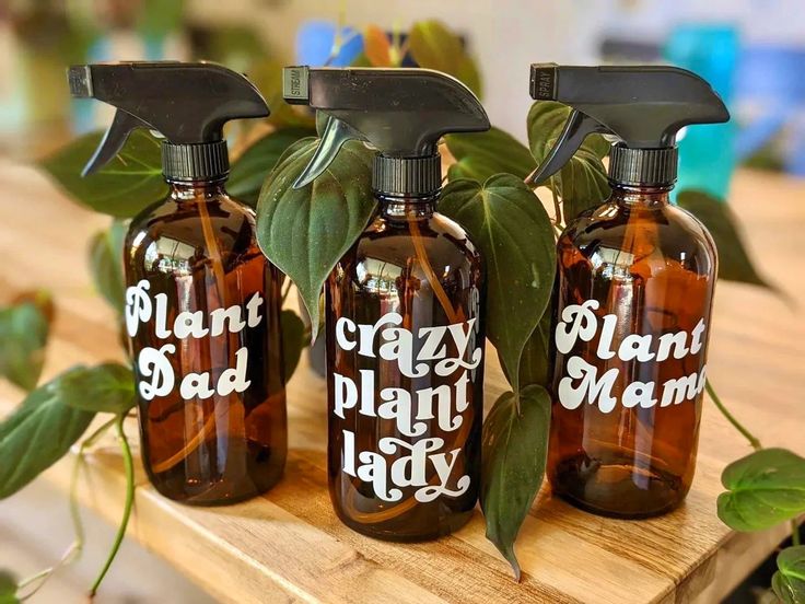 Plant Spray Bottle, Plant Accessories, Plant Lovers, Plant Gifts, Water My Plants, Planters