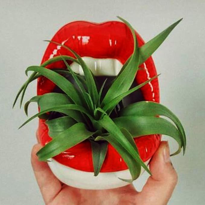 Lip Planters, Mouth Planter, Fun Planters, Flower Pots, Plant Lady, Mouth Ashtray, Red Lips