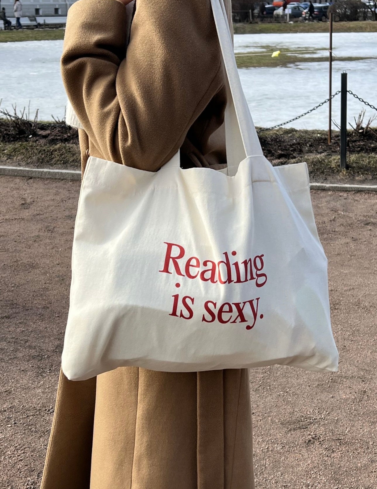 Reading is Sexy Tote Bag, Canvas Bag, Cute Book Bag, Book Lover Gift, Booktok, School Bag, Shoulder Bag