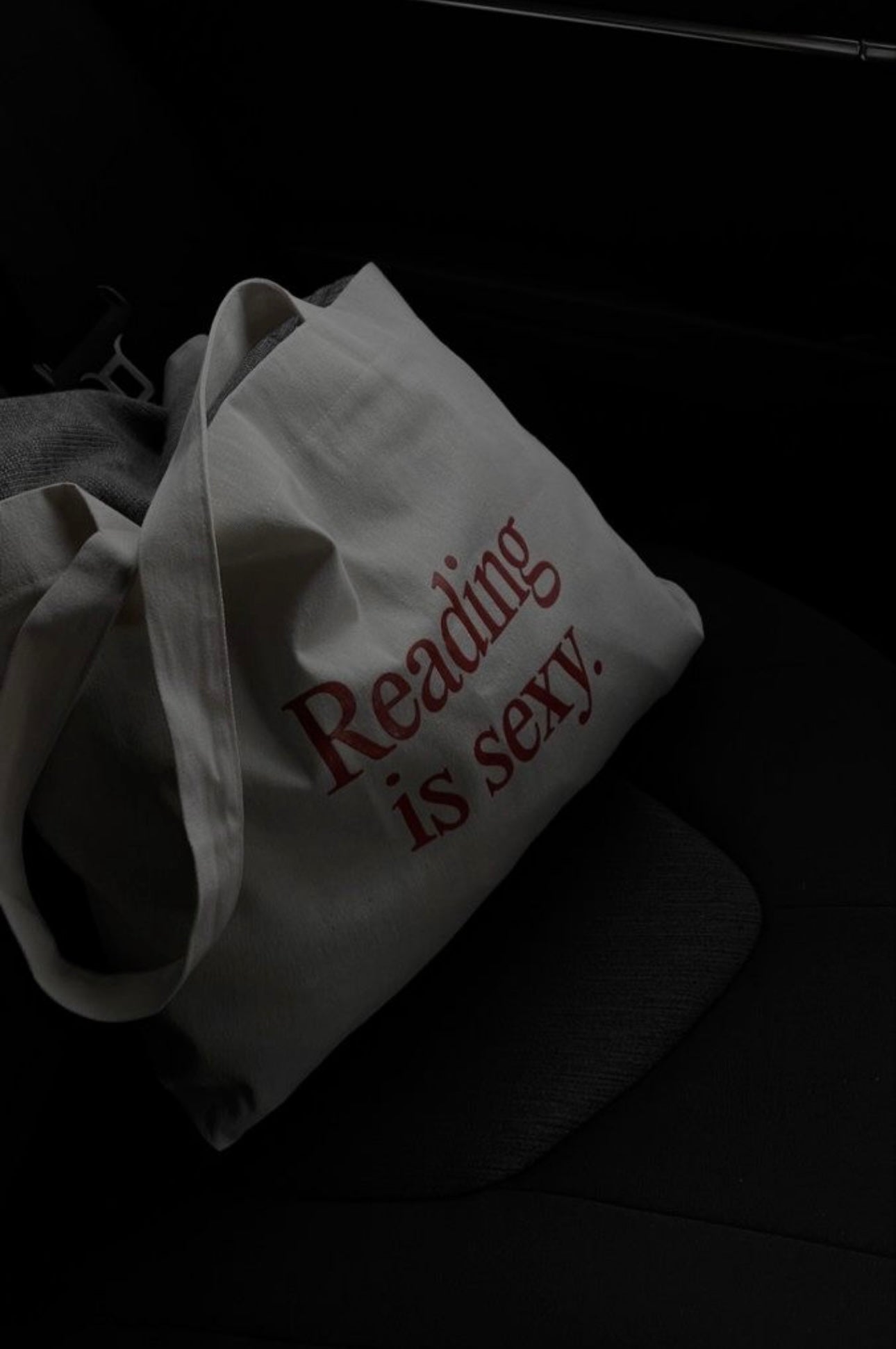 Reading is Sexy Tote Bag, Canvas Bag, Cute Book Bag, Book Lover Gift, Booktok, School Bag, Shoulder Bag