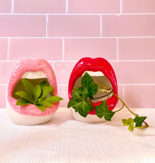 Lip Planters, Mouth Planter, Fun Planters, Flower Pots, Plant Lady, Mouth Ashtray, Red Lips