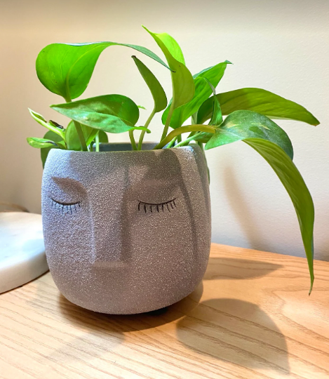 Concrete Head Planter, Cute Planters, Flower Pots, Plants, Succulents, Plant Lady, Funny Pots