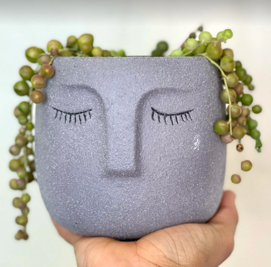 Concrete Head Planter, Cute Planters, Flower Pots, Plants, Succulents, Plant Lady, Funny Pots