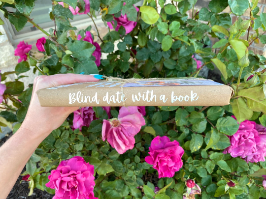 Blind Date with a Book, Surprise Book, Book Gift, Book Lovers, Gifts for Her, Birthday Gifts, Anniversary, Valentine's Day Gifts