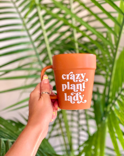 Crazy Plant Lady Terracotta Pot Mug, Plant Lover Gift, Plant Gifts, Plant Lady, Gifts for Her, Planter, Succulents