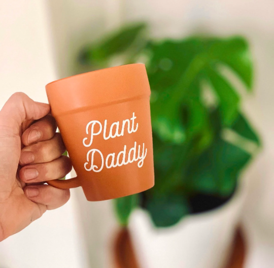 Plant Daddy Terracotta Pot Mug, Plant Lover Gift, Plant Gifts, Plant Dad, Planter, Succulents, Father's Day