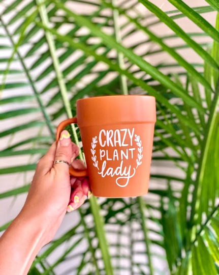 Crazy Plant Lady Terracotta Pot Mug, Plant Lover Gift, Plant Gifts, Plant Mom, Planter, Succulents