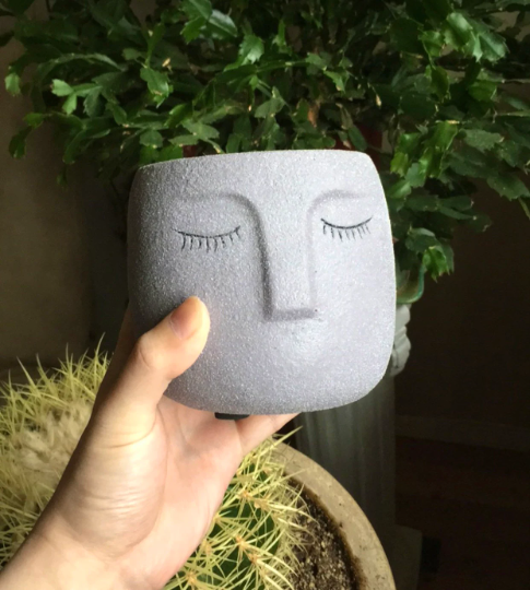 Concrete Head Planter, Cute Planters, Flower Pots, Plants, Succulents, Plant Lady, Funny Pots