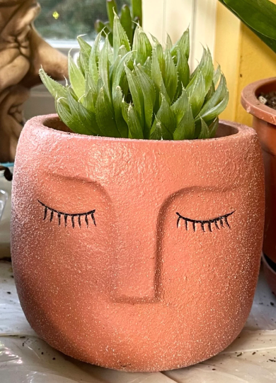 Concrete Head Planter, Cute Planters, Flower Pots, Plants, Succulents, Plant Lady, Funny Pots